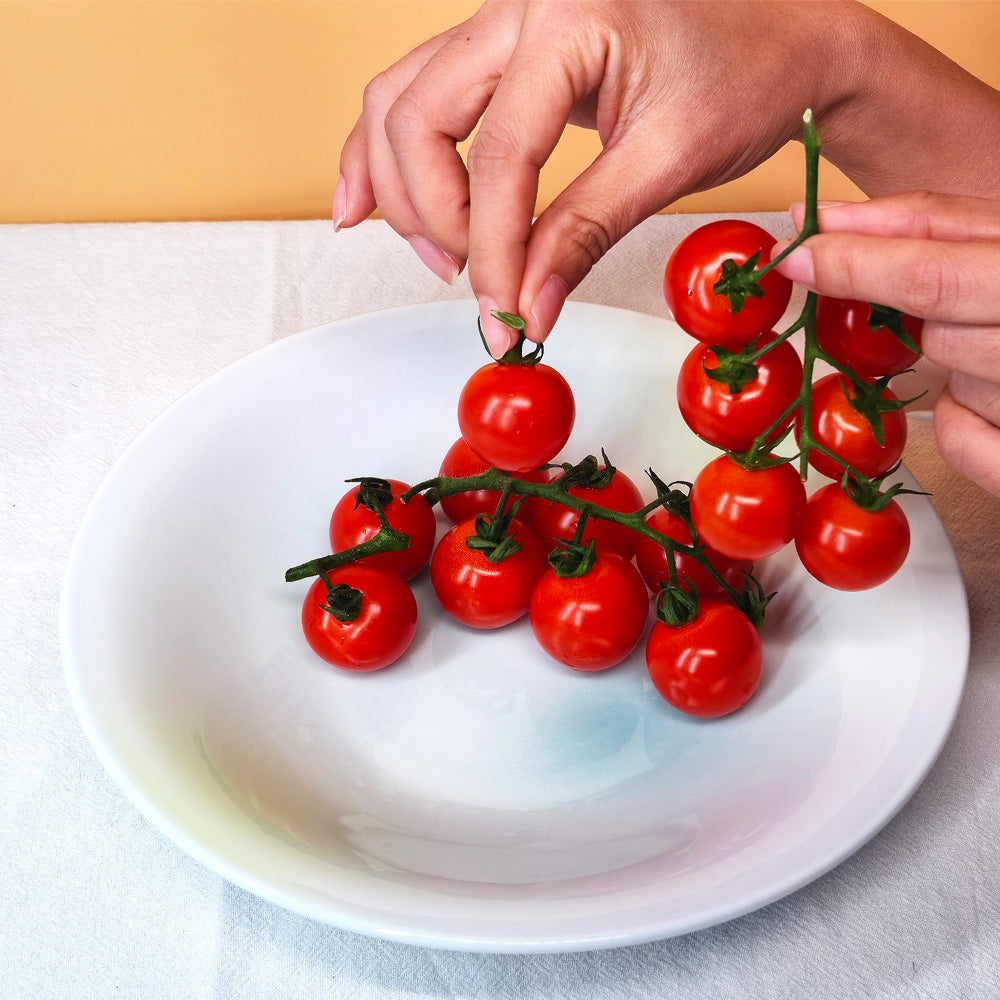Dinnerware Ceramic Serving Plate Spaghetti Plate