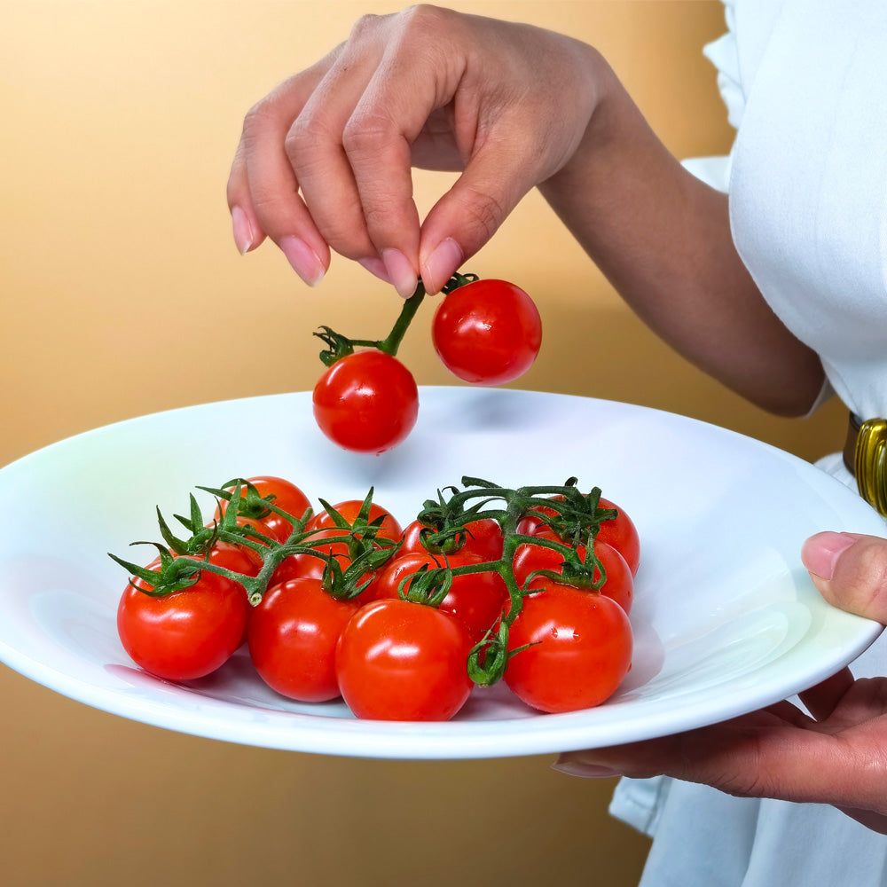 Dinnerware Ceramic Serving Plate Spaghetti Plate