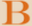 Bontii logo